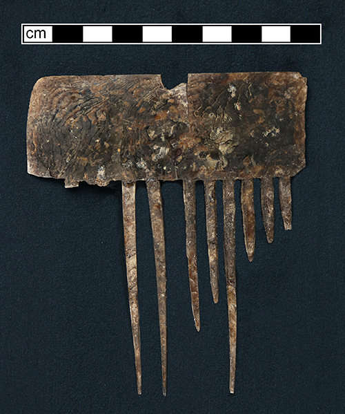 Rectangular tortoise shell comb with seven extant tines (at least three are missing). Striped two-tone brown pattern visible on the comb material.